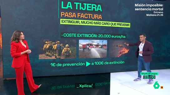 El coste de los incendios en España El coste de los incendios en España