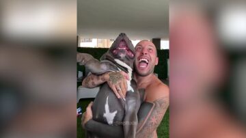 Perros