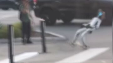 Robot