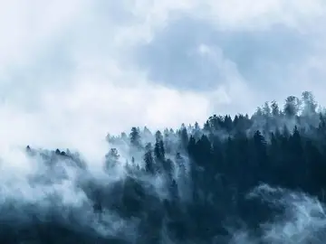 Deforestación Deforestación