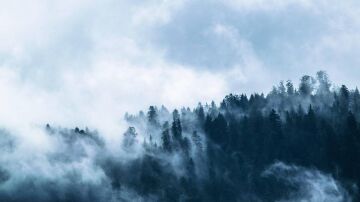 Deforestación