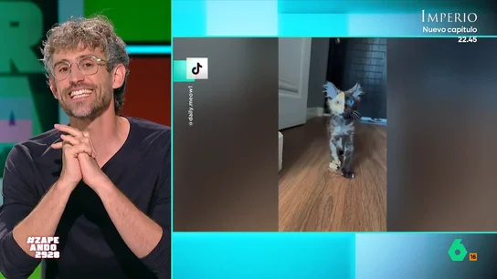 Víctor Algra explica qué es el quimerismo en los gatos: así se produce esta alteración genética que les hace tener dos caras Víctor Algra desvela en este vídeo qué es el quimerismo que tiene un cachorro que triunfa en redes sociales o Venus, una gata de 16 años con 2,2 millones de seguidores. Una alteración genética que coge su nombre de un animal mitológico.