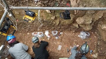 El equipo de Maíllo, durante la excavación