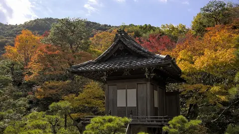 Kyoto Kyoto