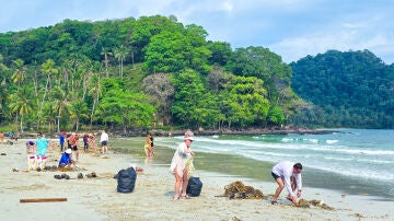 Turismo solidario con gente limpiando una playa