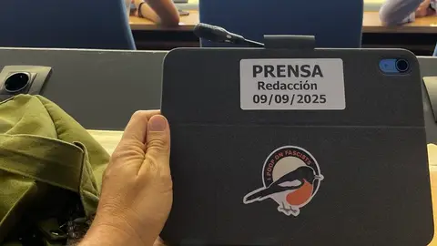 Antonio Maestre, en el Congreso de los Diputados Antonio Maestre, en el Congreso de los Diputados