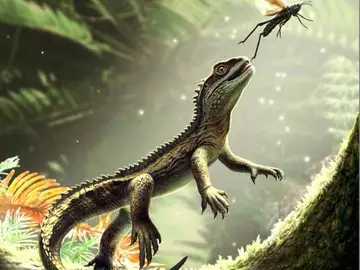 Reconstrucción artística del lagarto Reconstrucción artística del lagarto