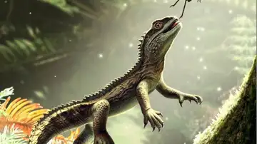 Reconstrucción artística del lagarto Reconstrucción artística del lagarto