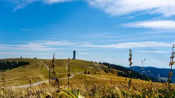 Feldbergsteig. Selva Negra Feldbergsteig. Selva Negra