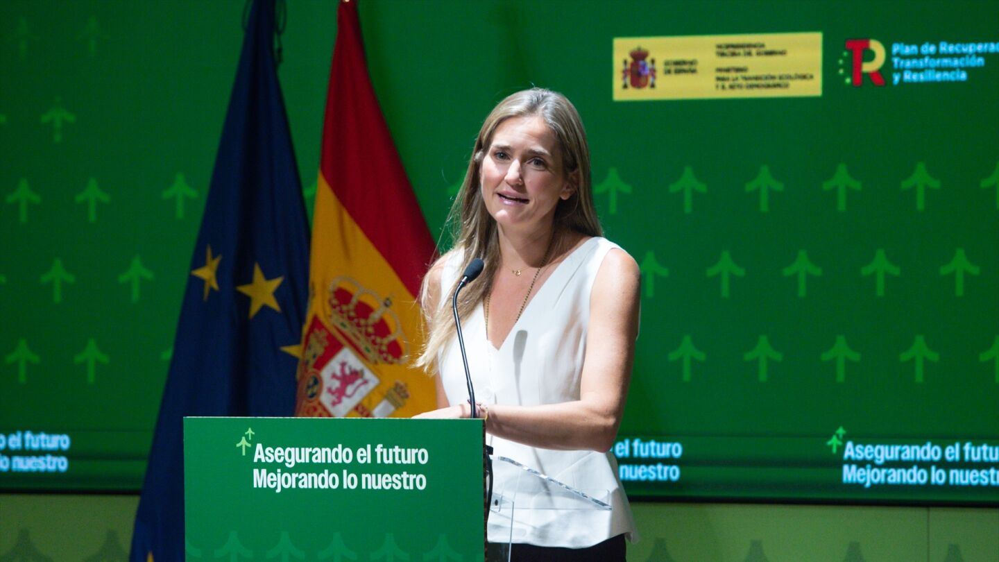 La vicepresidenta del Gobierno y ministra para la Transici&oacute;n Ecol&oacute;gica y el Reto Demogr&aacute;fico, Sara Aagesen.