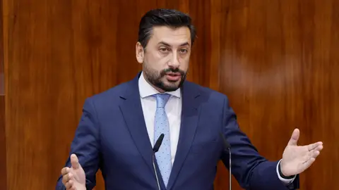 El portavoz del PP, Carlos Díaz-Pache, interviene durante la segunda sesión del debate del estado de la región en la Asamblea de Madrid este viernes. El portavoz del PP, Carlos Díaz-Pache, interviene durante la segunda sesión del debate del estado de la región en la Asamblea de Madrid este viernes.