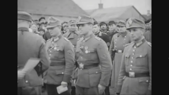Tumba nazi. Tumba nazi.