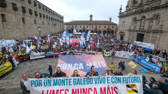 Miles de personas protestan en Santiago contra la política forestal de la Xunta tras los incendios Miles de personas protestan en Santiago contra la política forestal de la Xunta tras los incendios