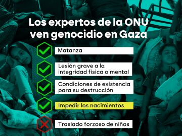 Los expertos de la ONU ven genocidio en Gaza
