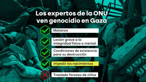 Los expertos de la ONU ven genocidio en Gaza Los expertos de la ONU ven genocidio en Gaza