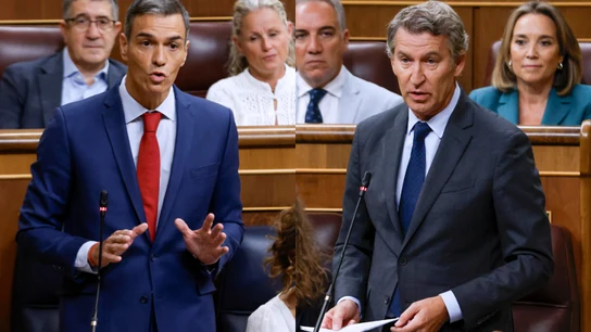 El presidente del Gobierno, Pedro Sánchez, y el líder del Partido Popular (PP), Alberto Núñez Feijóo, este miércoles en el Congreso de los DIputados. El presidente del Gobierno, Pedro Sánchez, y el líder del Partido Popular (PP), Alberto Núñez Feijóo, este miércoles en el Congreso de los DIputados.