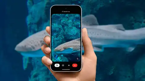 Asistente de cámara de Google Pixel para qué sirve y como activarlo Asistente de cámara de Google Pixel para qué sirve y como activarlo