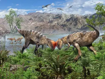 Reconstrucción artística de Zavacephale rinpoche Reconstrucción artística de Zavacephale rinpoche