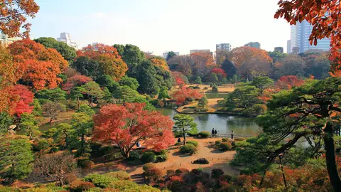 Parque Rikugien Parque Rikugien