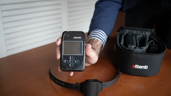 Las pulseras antimaltratadores registraron fallos que podrían haber supuesto "una gran cantidad de sobreseimientos provisionales o fallos absolutorios" Las pulseras antimaltratadores registraron fallos que podrían haber supuesto "una gran cantidad de sobreseimientos provisionales o fallos absolutorios"