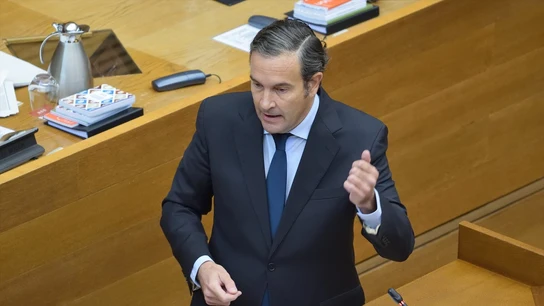 El diputado del Grupo Popular (GPP) en Les Corts Nando Pastor. El diputado del Grupo Popular (GPP) en Les Corts Nando Pastor.