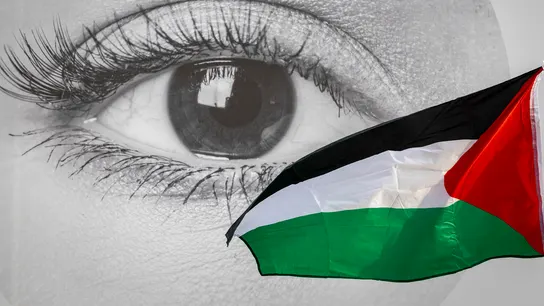 Bandera de Palestina durante el Festival Internacional de Cine de San Sebastián Bandera de Palestina durante el Festival Internacional de Cine de San Sebastián