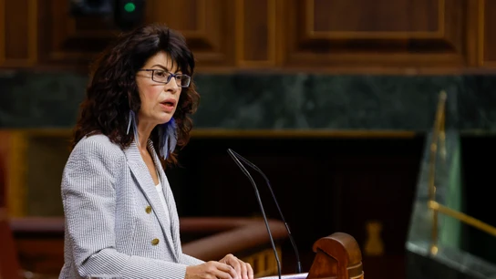 La ministra de Igualdad, Ana Redondo, durante una comparecencia en el Congreso de los Diputados La ministra de Igualdad, Ana Redondo, durante una comparecencia en el Congreso de los Diputados