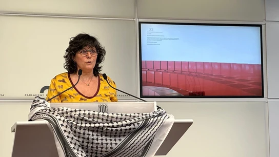 La diputada de la CUP en el Parlament Pilar Castillejo en una foto de archivo. La diputada de la CUP en el Parlament Pilar Castillejo en una foto de archivo.