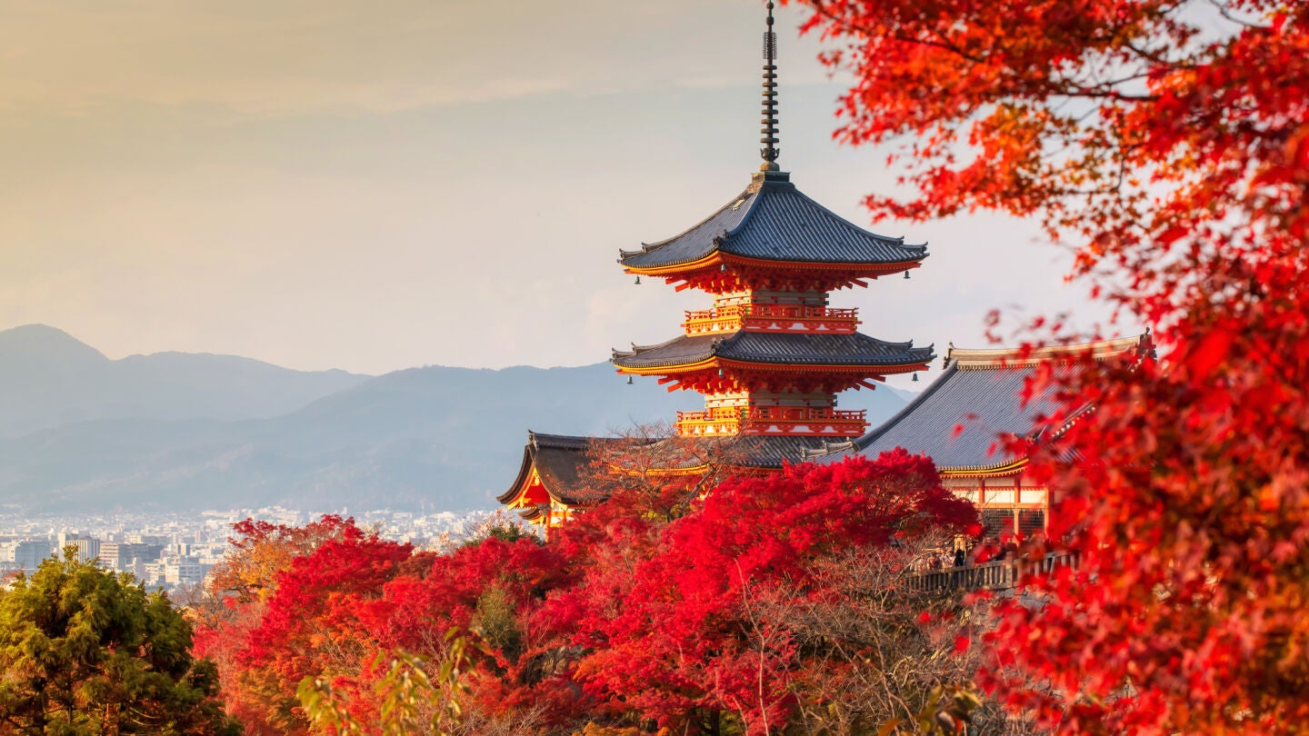 Jap&oacute;n en oto&ntilde;o