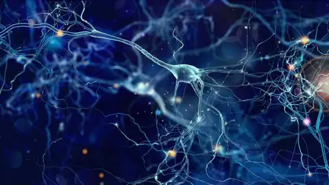 Neuronas Neuronas