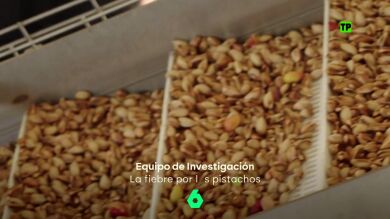 Hoy, en Equipo de Investigaci&oacute;n, la 'fiebre por los pistachos': &iquest;negocio del futuro o la pr&oacute;xima burbuja agr&iacute;cola?