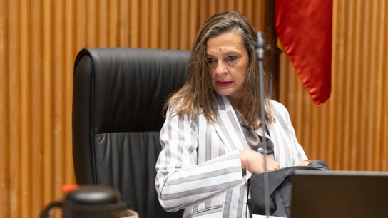 La delegada del Gobierno contra la Violencia de Género, Carmen Martínez Perza La delegada del Gobierno contra la Violencia de Género, Carmen Martínez Perza