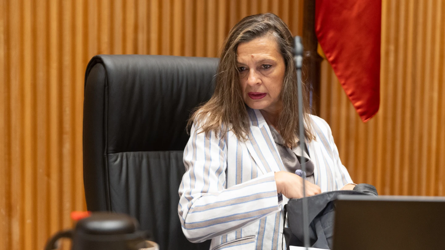 La delegada del Gobierno contra la Violencia de Género, Carmen Martínez Perza La delegada del Gobierno contra la Violencia de Género, Carmen Martínez Perza