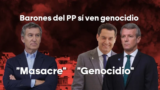 El término que divide al PP: el discurso de Feijóo choca con líderes autonómicos que ya hablan abiertamente de "genocidio" en Gaza El término que divide al PP: el discurso de Feijóo choca con líderes autonómicos que ya hablan abiertamente de "genocidio" en Gaza