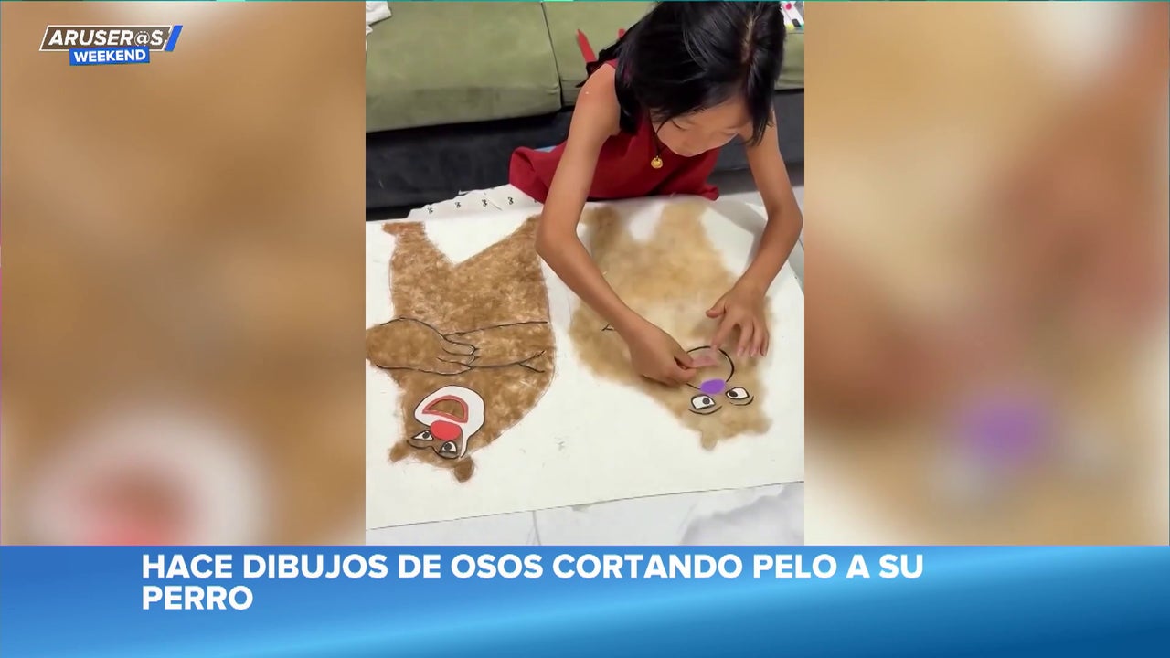 La surrealista técnica de una niña al utilizar pelo de su perro para crear sus dibujos