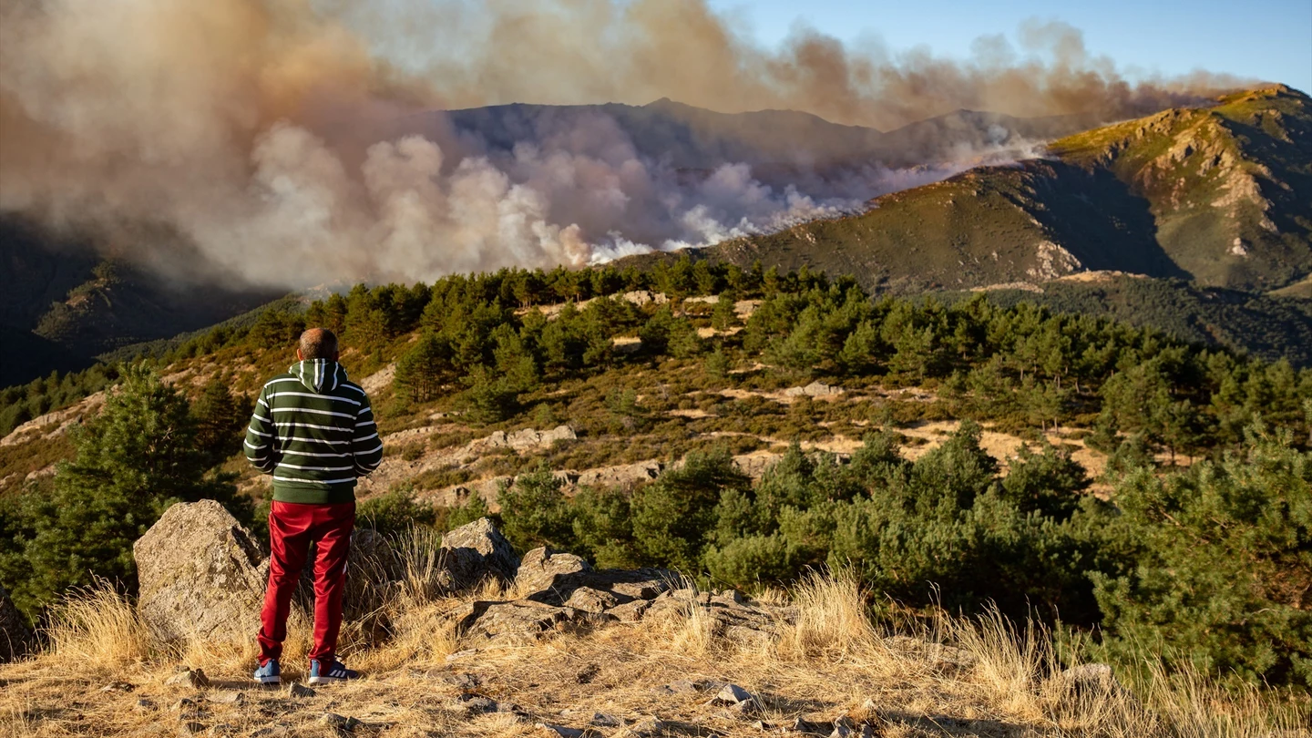 Incendio en Peñalba de la Sierra Incendio en Peñalba de la Sierra