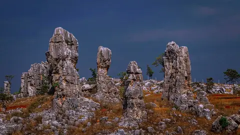 Karst de Shilin, en China Karst de Shilin, en China