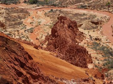 Bosque de Tisingy de Bemaraha, en Madagascar