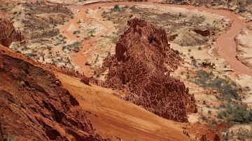 Bosque de Tisingy de Bemaraha, en Madagascar