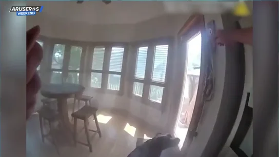 El vídeo viral del perro rescatado de un incendio que antes de abandonar la casa va a por su correa El vídeo viral del perro rescatado de un incendio que antes de abandonar la casa va a por su correa