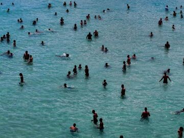 La superficie marina alcanz&oacute; en 2024 una temperatura global r&eacute;cord de 21&ordm;C