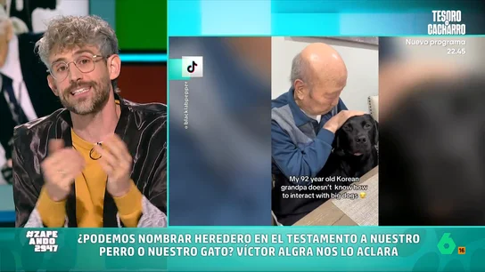 ¿Podemos nombrar heredera a nuestra mascota? Víctor Algra explica qué dice la legislación española El veterinario explica que cuando una persona fallece, puede establecer qué pasa con su mascota. "Es mejor dejarlo todo bien atado antes de que haya problemas", indica Víctor.