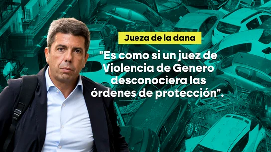 La jueza de la DANA, sobre la negligencia del Gobierno de Mazón: "Es como si un juez de Violencia de Género no supiera que hay órdenes de protección" La jueza de la DANA, sobre la negligencia del Gobierno de Mazón: "Es como si un juez de Violencia de Género no supiera que hay órdenes de protección"