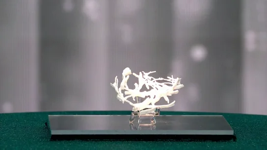 Un biomaterial desconcierta en Tesoro o Cacharro: "Parece lo que imprime papá, ¿lo bio-desechamos?" Un biomaterial desconcierta en Tesoro o Cacharro: "Parece lo que imprime papá, ¿lo bio-desechamos?"