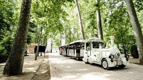 Paseo en tren por Aranjuez Paseo en tren por Aranjuez
