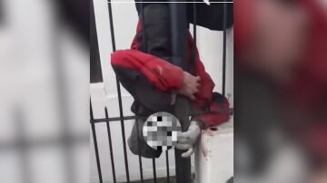 Ladrón