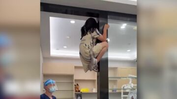 Dentista