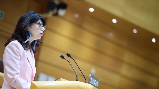 La ministra de Igualdad, Ana Redondo, interviene durante un pleno en el Senado, La ministra de Igualdad, Ana Redondo, interviene durante un pleno en el Senado,