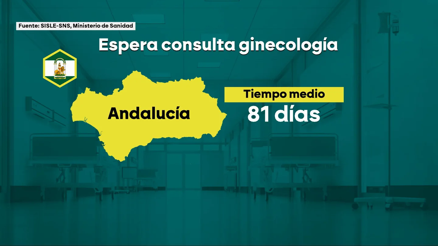 La detección precoz es vital para sobrevivir al cáncer de mama: Andalucía, la comunidad con más lista de espera en Ginecología La detección precoz es vital para sobrevivir al cáncer de mama: Andalucía, la comunidad con más lista de espera en Ginecología