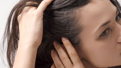 Pelo con canas